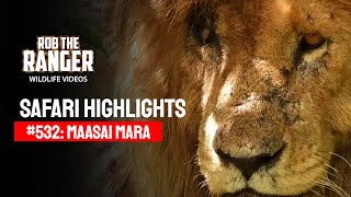 Safari Highlights #532: 12 & 13 December 2019 | Maasai Mara/Zebra Plains | Latest Wildlife Sightings