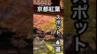 【京都紅葉スポット6選】 個人的に行って良かった京都紅葉スポット　2022撮影まとめ#shorts #京都紅葉 #京都#紅葉の名所#Kyotoautumnleaves#kyoto