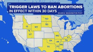 Breaking down the fallout from landmark abortion decision | NewsNation