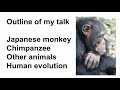 chimpanzee intelligence in the laboratory and in the wild prof. tetsuro matsuzawa