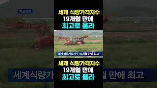 [한국농수산TV] 세계 식량가격지수, 19개월 만에... 최고로 올라