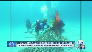 Huge commercial fishing net hauled out of ocean