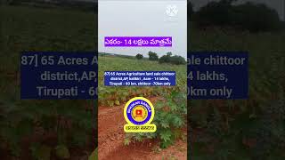 65 Acres Agriculture land sale || chittoor district,AP, kalikiri || Acre - 14 lakhs,Tirupati - 60 km