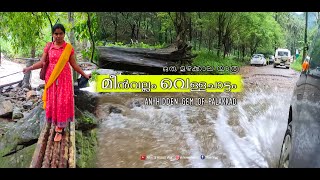 palakkad Meenvallam waterfalls || മീൻവല്ലം വെള്ളച്ചാട്ടം കാണാൻ ഒരു മഴക്കാല സാഹസിക യാത്ര