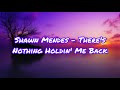 Shawn Mendes - There's Nothing Holdin' Me Back (Lyrics)