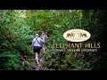 Experience the Wonders of Khao Sok with Elephant Hills Jungle Trekking