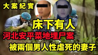 2015年，河北女子被杀害，尸体掩埋在萝卜地，警方：她床下有人，呂鵬大案紀實