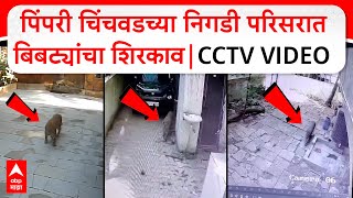 Pimpri Chinchwad Leopard : पिंपरी चिंचवडच्या निगडी परिसरात बिबट्यांचा शिरकाव |CCTV VIDEO