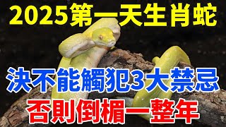 元旦禁忌！2025年第一天，生肖蛇絕對不能做的3件大凶之事！小心破財傷身，倒楣一整年！【佛語禪音】#生肖 #命理 #運勢 #屬相 #風水