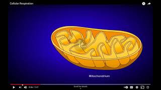 AEMT CH7 Human Body