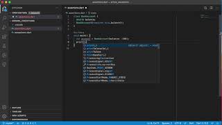 Dart Errors and Exceptions - Assertions