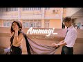 Ammayi song) #animalmovie #slowed #reverb /karthik_Beatz_#telugusongs