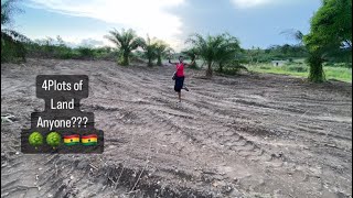 Cleared 4 PLOTS of Land for the Mcafee Family ||🇬🇭🌳🚜