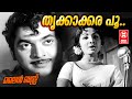 Thrikkakara Poo Poranju - Line Bus (1971) | Vayalar Ramavarma | G Devarajan | P Madhuri | Film Songs