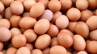 Egg prices up 6% since January. Here's why