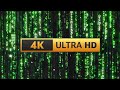 Matrix Screensaver Rain Code 12H 4K - Longest video on Youtube