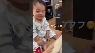 爆笑🤣【笑い転げる】とはこうゆうこと#赤ちゃん #baby #akio #genius #かわいい #cute #爆笑