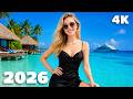 Best Summer Relaxing Vibes 4K UHD 2026 🌴 Chill Tropical Deep House Mix by XDeep Music
