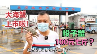 大清早探访天津王顶堤水产批发市场，据说这里的螃蟹100元七斤？【馋嘴小黑】