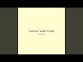 Cascade Twilight Fragile