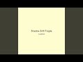 Shadow Drift Fragile