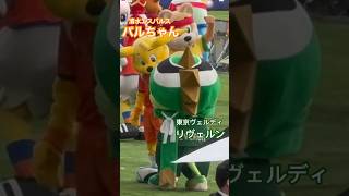 【J1昇格PO以来の再会】パルちゃん\u0026リヴェルン（清水エスパルス×東京ヴェルディ）国立競技場