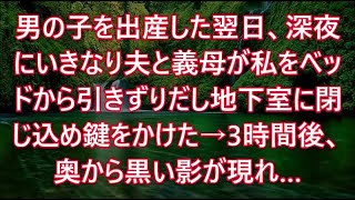 男の子を出産した翌日、深夜にいきなり夫と義母が私をベッドから引きずりだし地下室に閉じ込め鍵をかけた→3時間後、奥から黒い影が現れ…