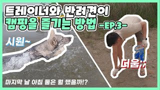 트레이너 강아지와 함께 캠핑 떠나다!! 3부 / 오르도 수영 실력은!?