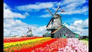 | NETHERLANDS 2017 | AMSTERDAM | ALKMAAR | VOLENDAM | KEUKENHOF | HAAG | ROTTERDAM |GOUDA|KINDERKIJ