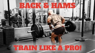 Back & Hams Train Like a Pro!