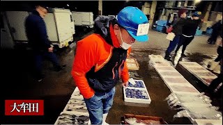 【大牟田の寿司】常連さん殺到！元魚屋の大将が自ら市場で魚を揃える人気の『魚屋網元』！スズキ、天然鯛、ブリ　A sushi restaurant run by a former fish shop