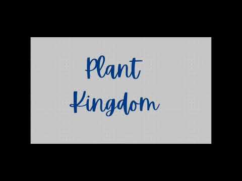 Revise With Audio MCQ| Plant Kingdom #neetselfstudy #neet - YouTube