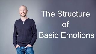 The Structure of Basic Emotions