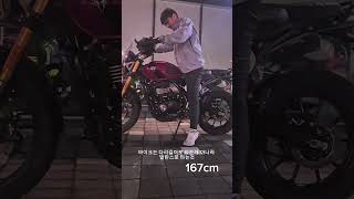 트라이엄프 스크램블러 400x 시트고 신장별차이 #TRIUMPH #트라이엄프 #scrambler #scrambler400x #400x #시트고