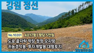 [정선토지] 도로 끝 막장 대형 토지, 독립적인 공간 평당 5만원 미만 활용도 높은 투자용 정선땅매매, 농사용 경작지, 기도원 절터, 태양광발전 개발용 강력 추천 #한국부동산