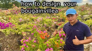 how to create beautiful and amazing bougainvillea designs