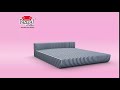 Regal - Sofa cum bed