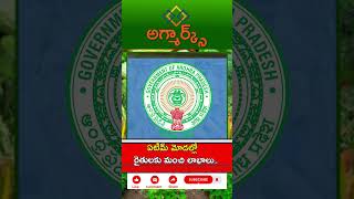 ఏపీలో రైతుల కోసం స్పెషల్ ఏటీఎంలు.. | Special ATMs For Farmers In Andhra Pradesh | #shorts