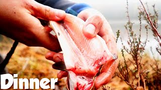 Catch and Cook | no talking, campfire, trout - NORWAY