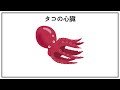 生き物に関する面白い雑学『8選』vol.1　 豆知識 トリビア