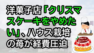 洋菓子店「クリスマスケーキやめたい」、ハウス栽培の苺が経費を圧迫