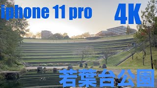 【4K】iphone 11 pro - 若葉台公園   お散歩