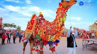 New Marwadi Dj Song | New Rajasthani Camel Dance | मारवाड़ी डांस वीडियो