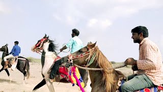 reval chal : horse reval race in pachotiya