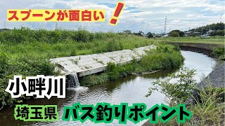 【バス釣りポイント】反応有り！スプーンに食いついてきた魚は？