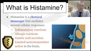 Histamine and its Actions - Quick Review!