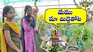 My Terrace Garden Tour | రండి రండి మా మిద్దెతోట చూద్దాం రారండి | ACH Gardening Vlogs