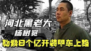 河北最牛黑老大楊樹寬，敢和加代硬碰硬，勒索8個億開裝甲車上路 #案件 #探案 #懸案 #懸疑 #案件解說