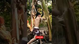 Muay Thai Shin Conditioning with Banana Tree 😮 #shorts