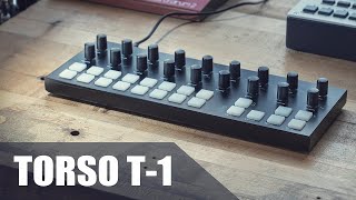 In a Dialogue With a Sequencer :  Torso T-1 // In-Depth Review